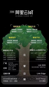 從馬老師到張勇 阿里巴巴的傳承計劃與數(shù)據(jù)服務(wù)新藍(lán)圖